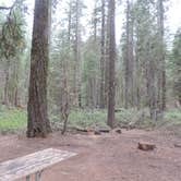 Review photo of Crane Flat Campground — Yosemite National Park by Michael K., August 15, 2018