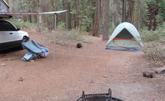 Michael K.'s photo at Crane Flat Campground — Yosemite National Park near El Portal, CA