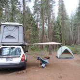 Review photo of Crane Flat Campground — Yosemite National Park by Michael K., August 15, 2018