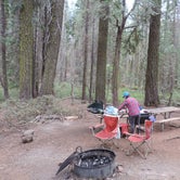 Review photo of Crane Flat Campground — Yosemite National Park by Michael K., August 15, 2018