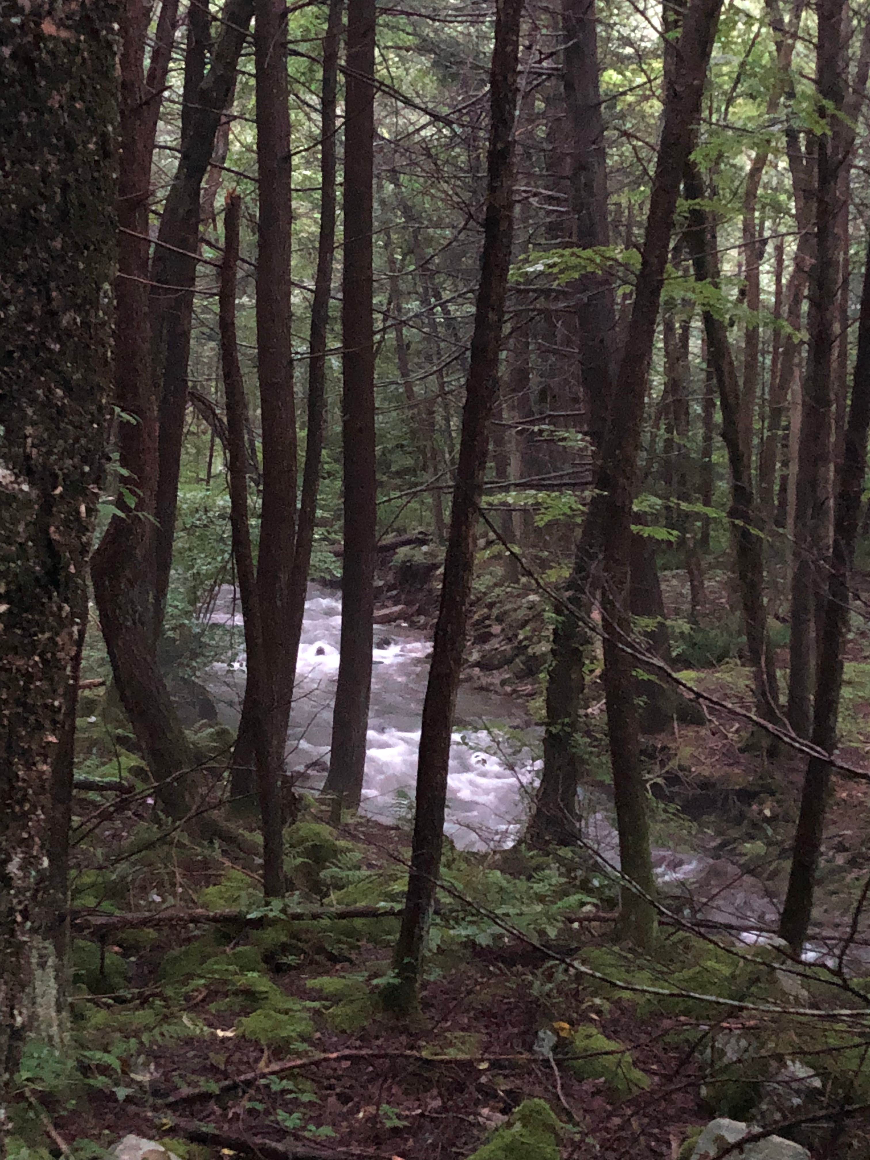 Camper submitted image from Ravensburg State Park Campground - 2