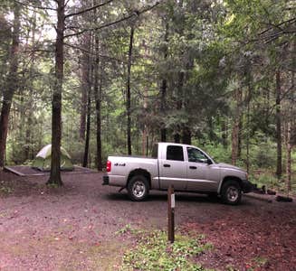 Camper-submitted photo from Poe Paddy State Park Campground