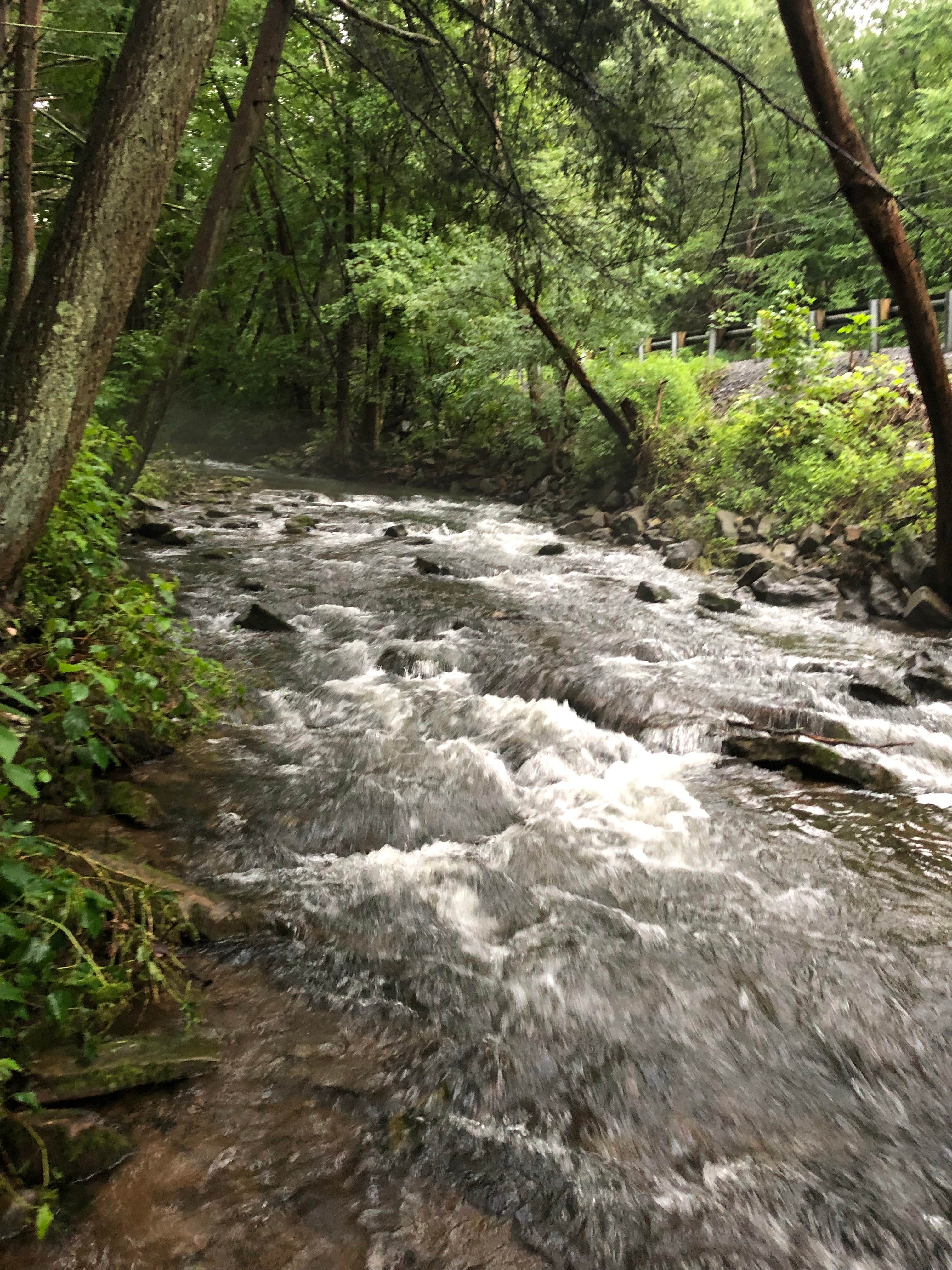 Camper submitted image from Ravensburg State Park Campground - 4