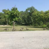 Review photo of Fremont Lakes State Recreation Area by Shannon G., August 15, 2018