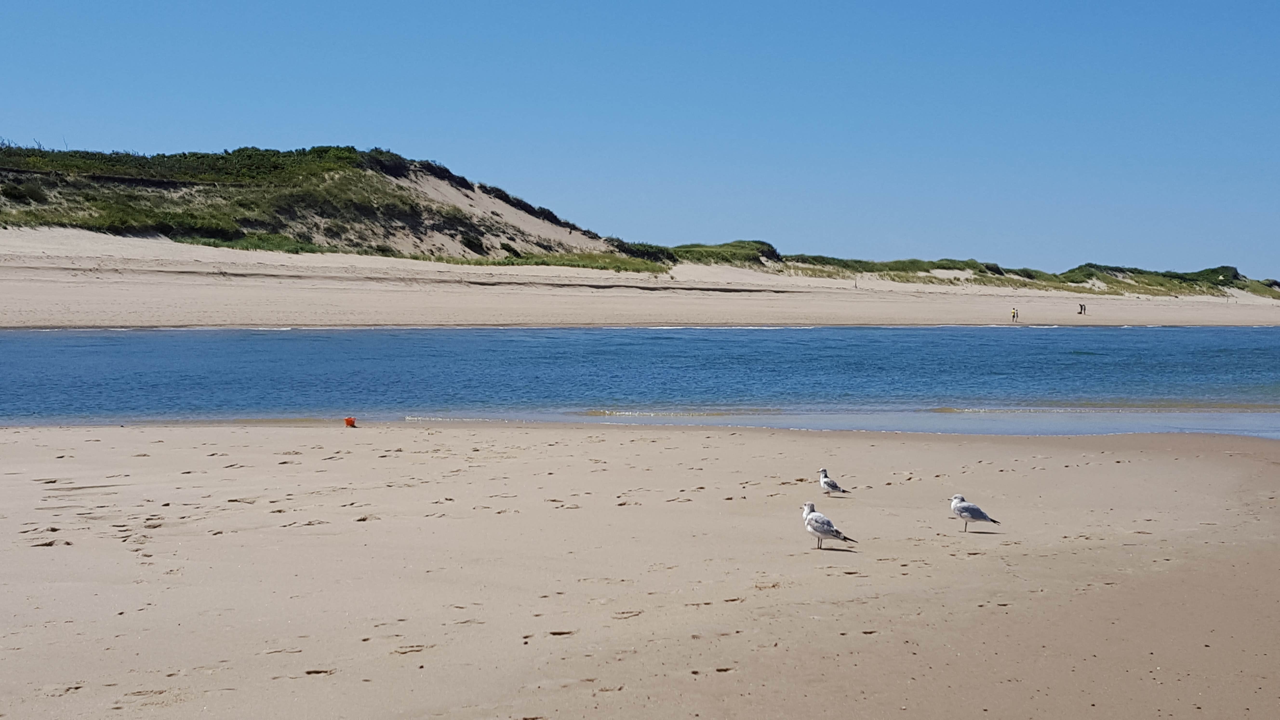 Camper-submitted photo at Adventure Bound Cape Cod: Horton's Campground near Truro, MA