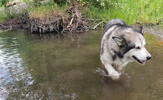 Kayleigh W.'s photo of camping with pets at Jackson County Howard Prairie Lake Resort near Klamath Falls, OR