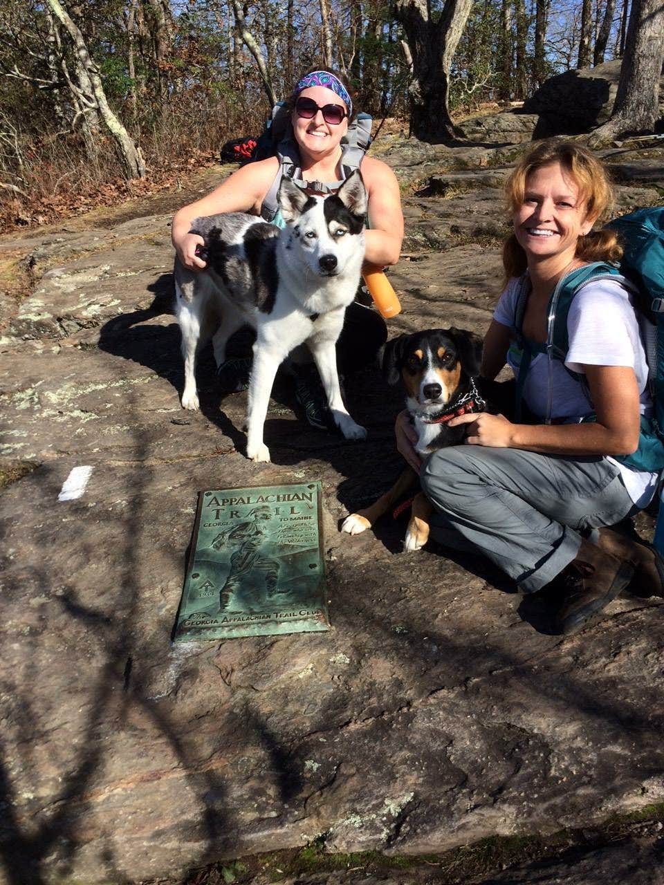 Wendy  J.'s photo of camping with pets at Amicalola Falls State Park Camping near Lake Sidney Lanier