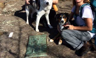 Wendy J.'s photo of camping with pets at Amicalola Falls State Park Camping near Cumming, GA