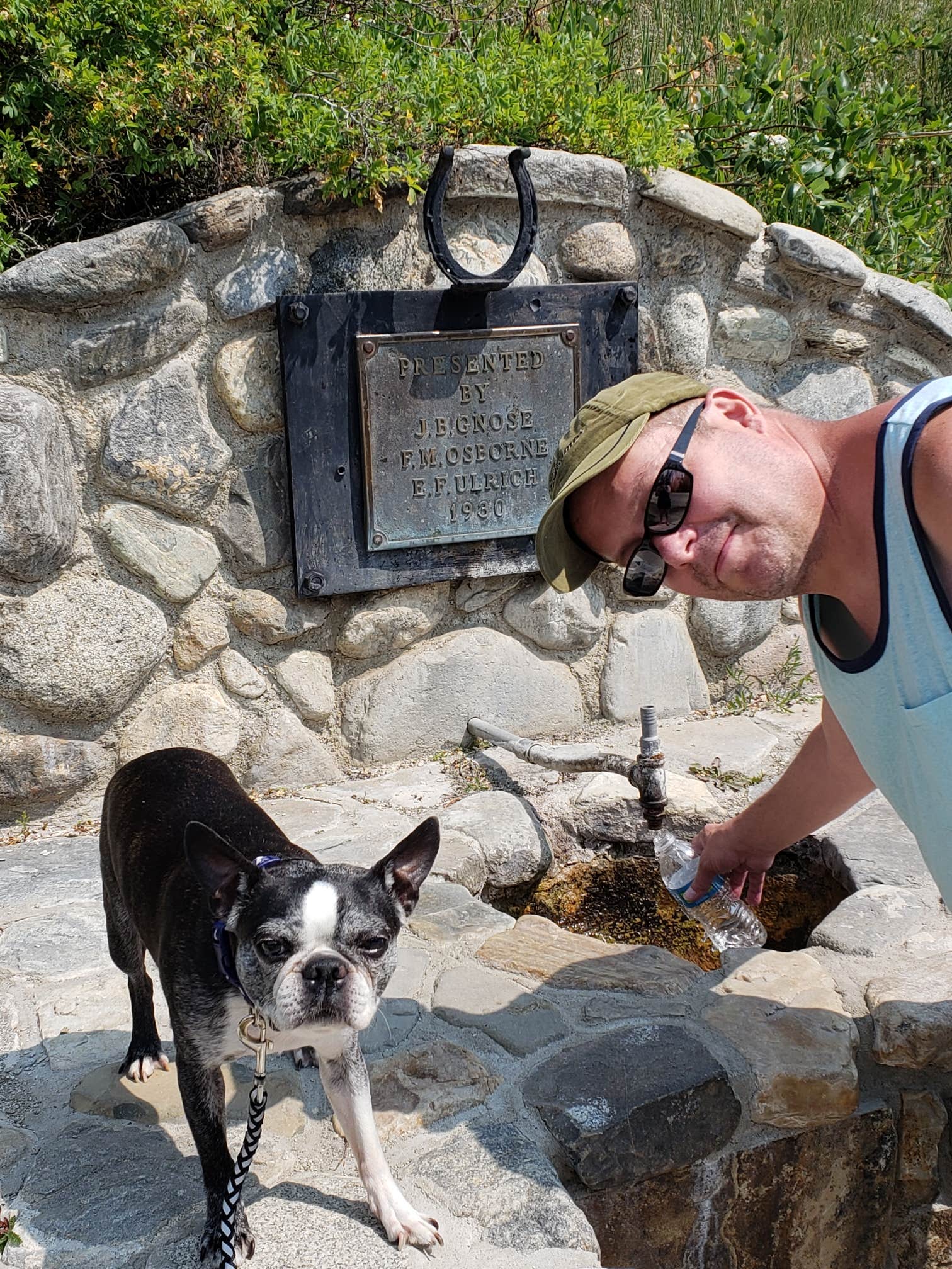 John Rock A.'s photo of camping with pets at Piney Campground And Boat Launch near Darby, MT