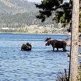 Review photo of Piney Campground And Boat Launch by John Rock A., August 15, 2018