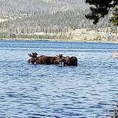 Review photo of Piney Campground And Boat Launch by John Rock A., August 15, 2018