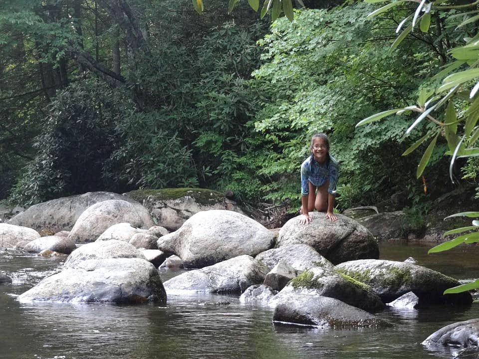 Camper-submitted photo at Black Bear Resort near Unicoi, TN