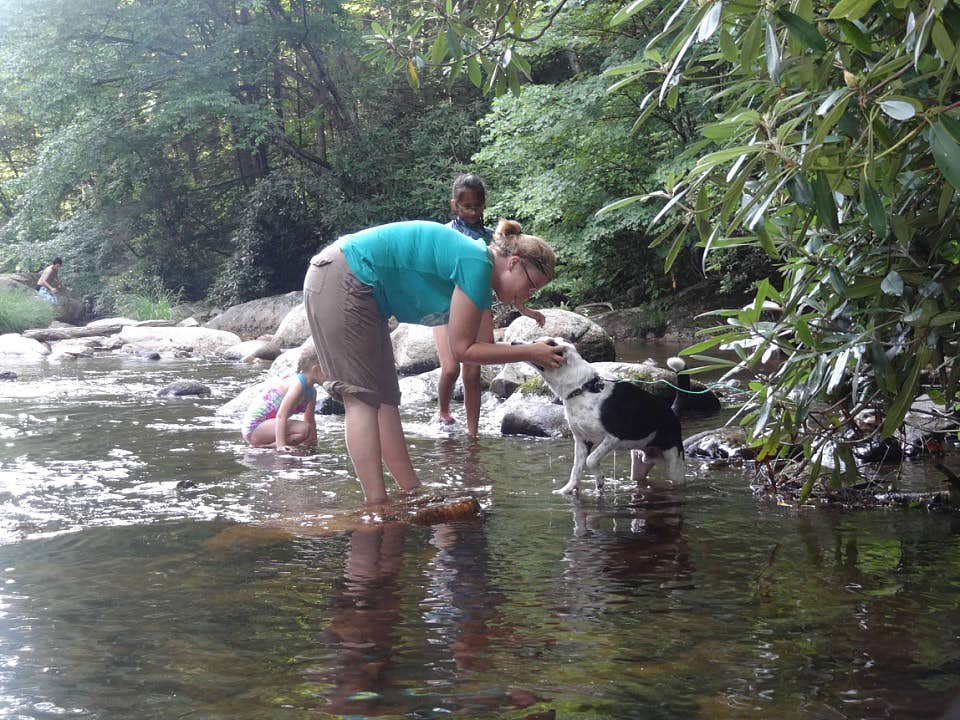 Camper-submitted photo at Black Bear Resort near Unicoi, TN