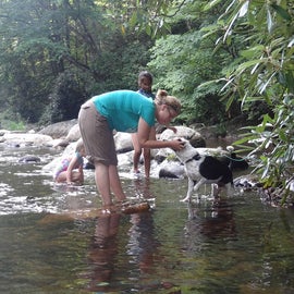 Jake enjoyed playing in the creek with the rest of us!  