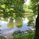 Review photo of Worthington State Forest Campground — Delaware Water Gap National Recreation Area by Rosie R., August 15, 2018