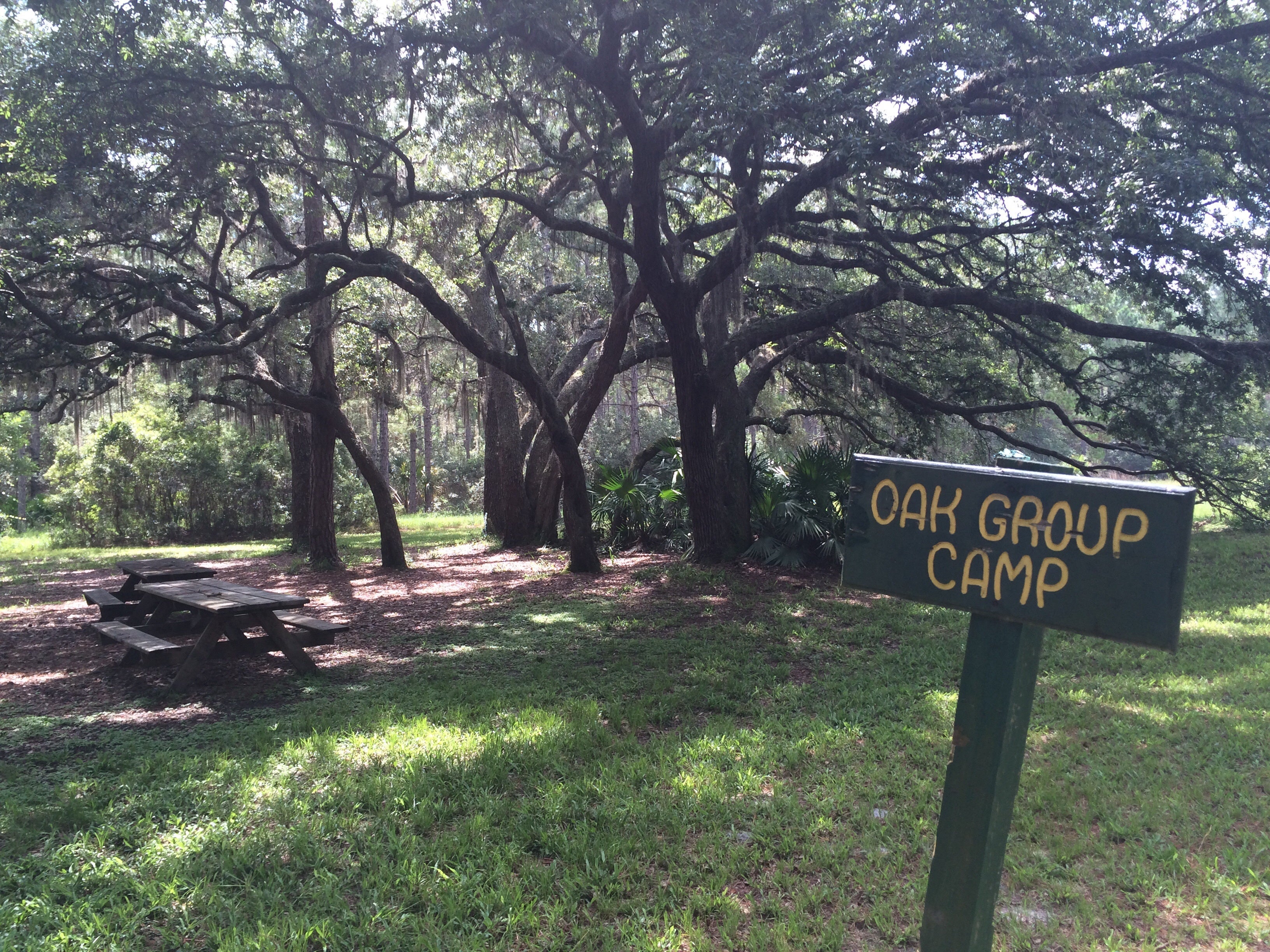 Camper submitted image from Seminole State Forest - Oaks Camp - 5