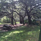 Review photo of Seminole State Forest - Oaks Camp by Billy A., June 30, 2015