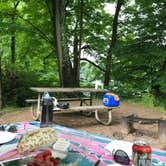 Review photo of Worthington State Forest Campground — Delaware Water Gap National Recreation Area by Rosie R., August 15, 2018