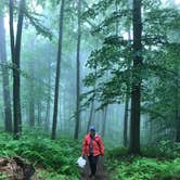 Review photo of Worthington State Forest Campground — Delaware Water Gap National Recreation Area by Rosie R., August 15, 2018