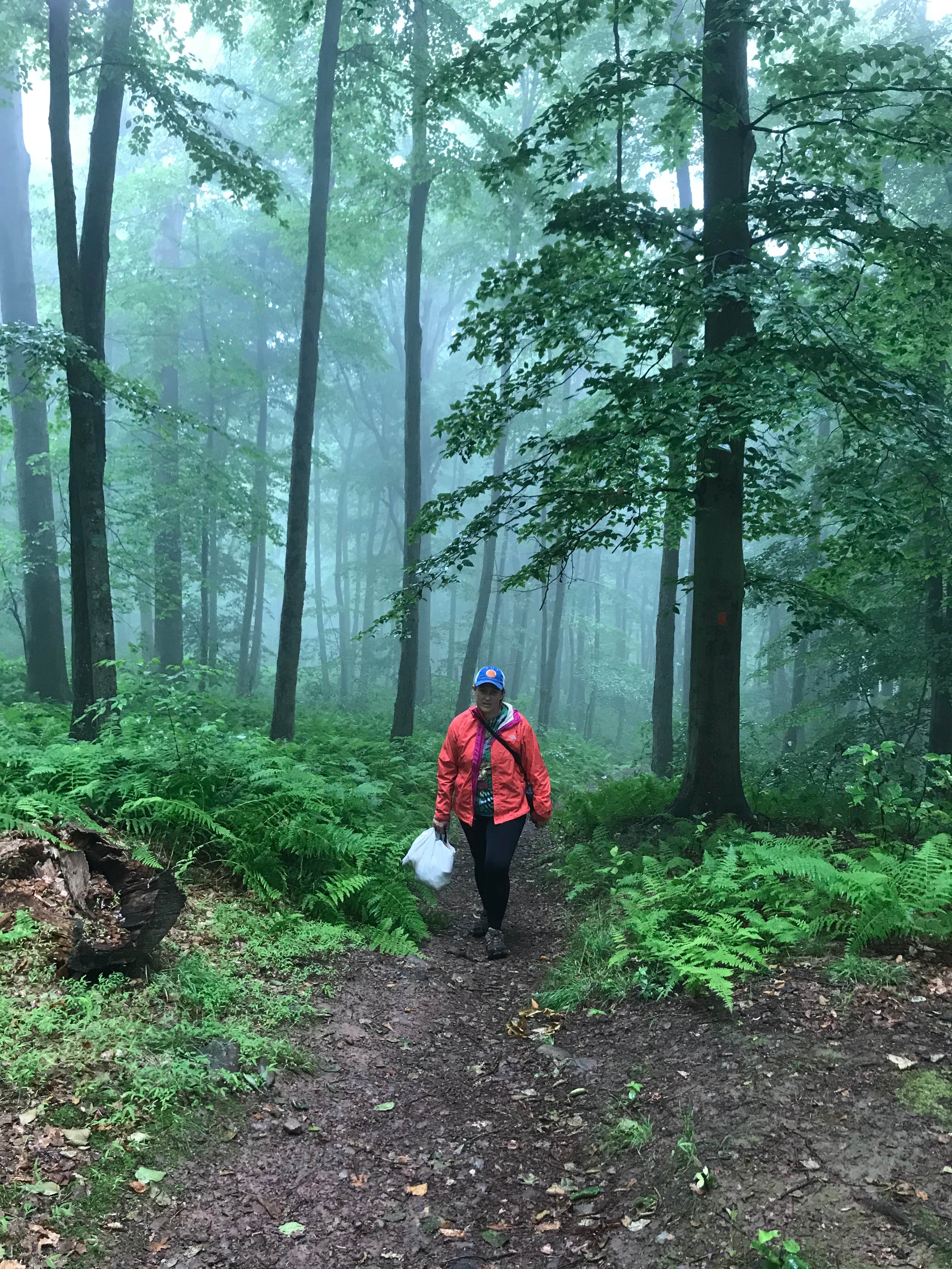 Camper submitted image from Worthington State Forest Campground — Delaware Water Gap National Recreation Area - 2