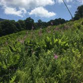 Review photo of Smugglers Notch State Park Campground by Megan D., August 15, 2018