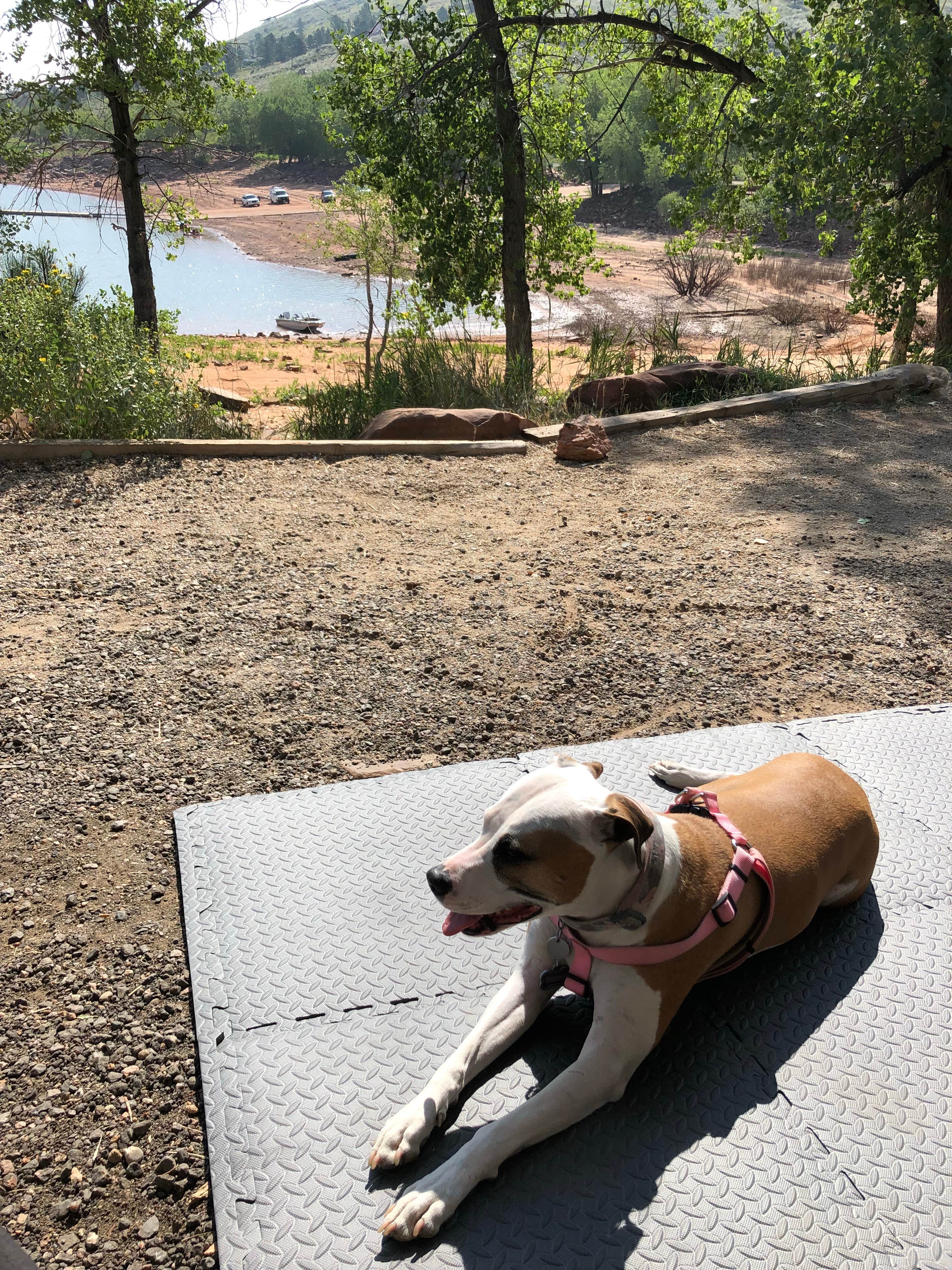 Camper submitted image from South Shore Campground at Carter Lake - 4