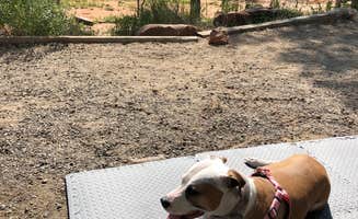 Teah S.'s photo of camping with pets at South Shore Campground at Carter Lake near Longmont, CO