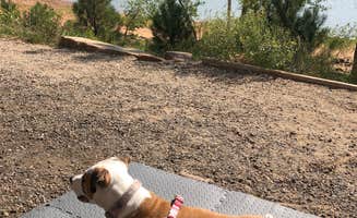 Teah S.'s photo of camping with pets at South Shore Campground at Carter Lake near Fort Collins, CO