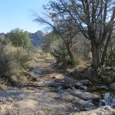 Review photo of Cochise Stronghold Campground by dan N., July 31, 2016