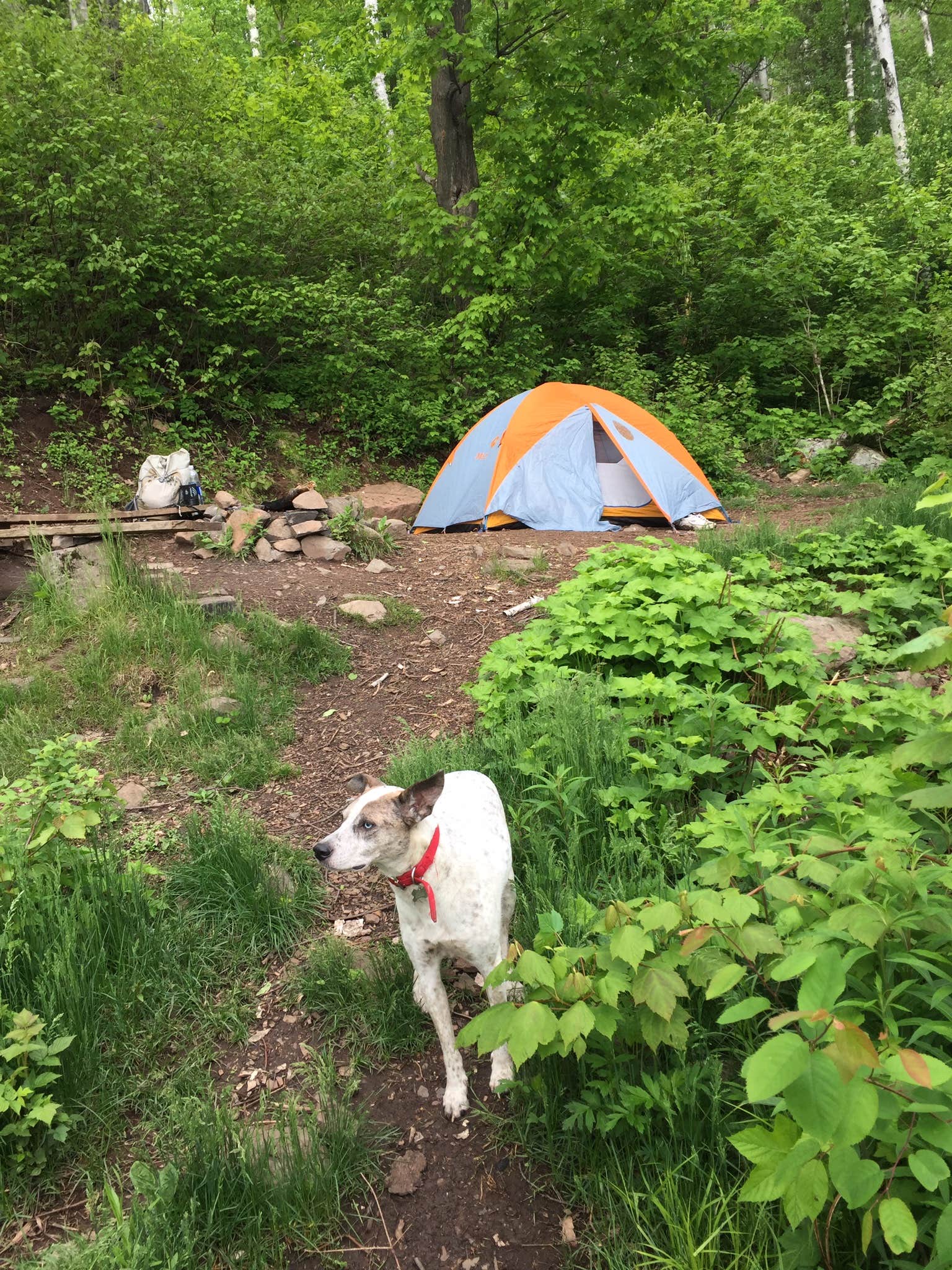 Bri M.'s photo of tent camping at Bean and Bear Lakes Hike-In — Tettegouche State Park near La Pointe, WI