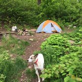 Review photo of Bean and Bear Lakes Hike-In — Tettegouche State Park by Bri M., August 15, 2018