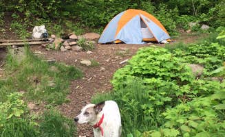 Bri M.'s photo of tent camping at Bean and Bear Lakes Hike-In — Tettegouche State Park near Bayfield, WI