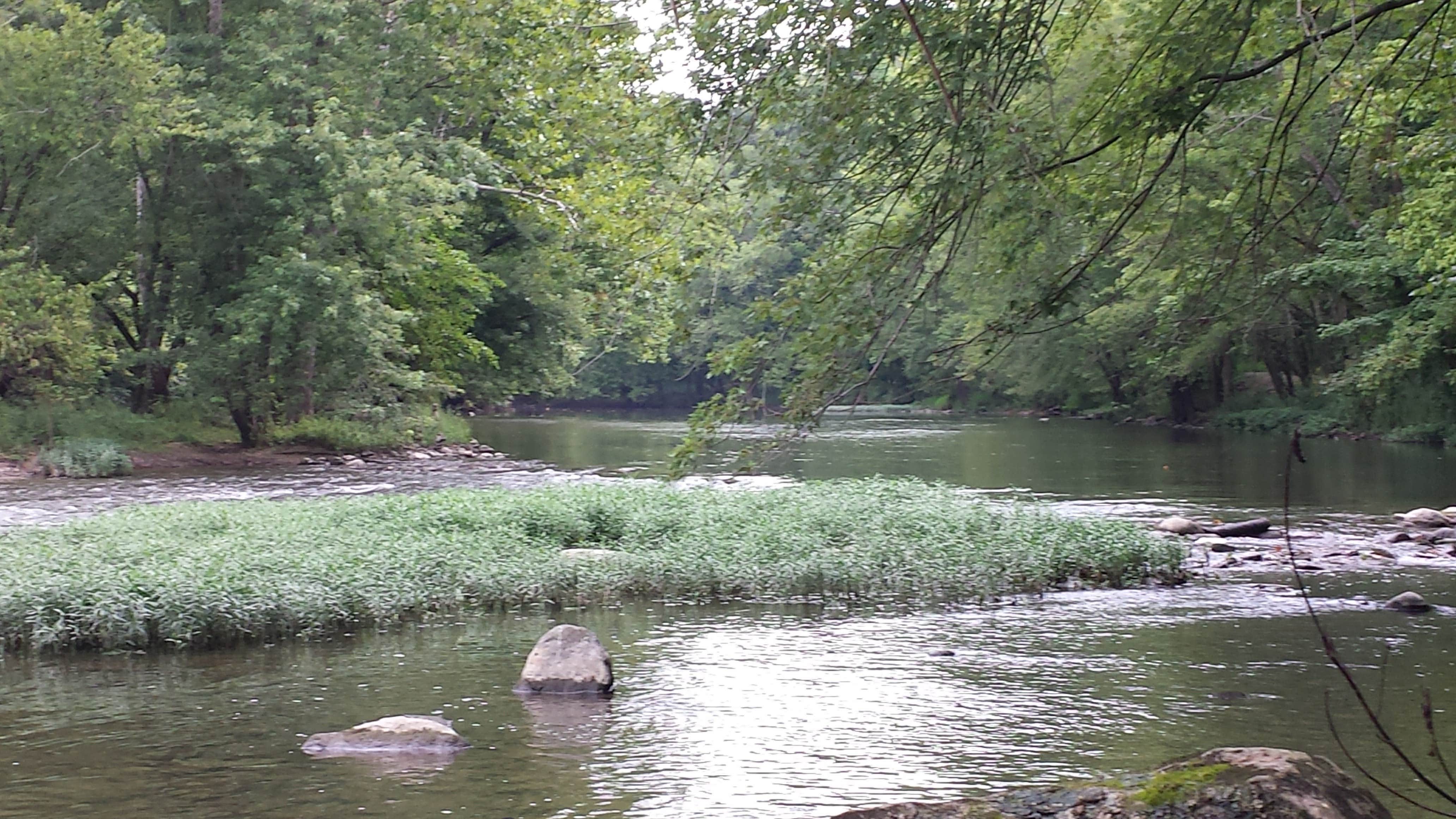 Camper submitted image from Brookville Lake - Mounds State Recreation Area - 3