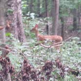 Review photo of Brookville Lake - Mounds State Recreation Area by Bryan R., August 15, 2018