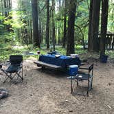 Review photo of Paradise Creek Campground by Tamela M., August 15, 2018