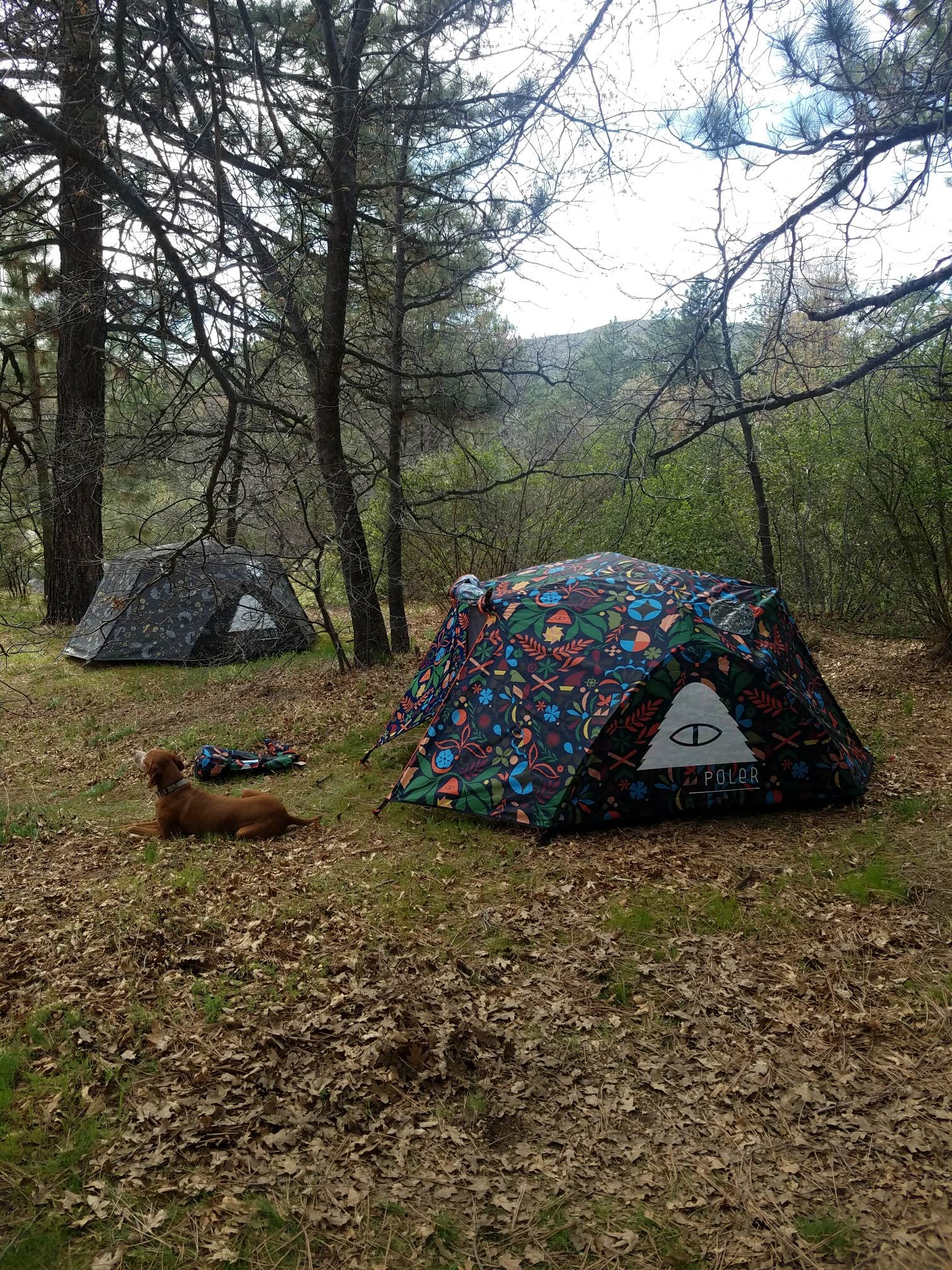 Anna K.'s photo at El Prado Campground near Ocotillo, CA