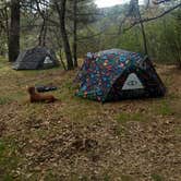 Review photo of El Prado Campground by Anna K., August 15, 2018