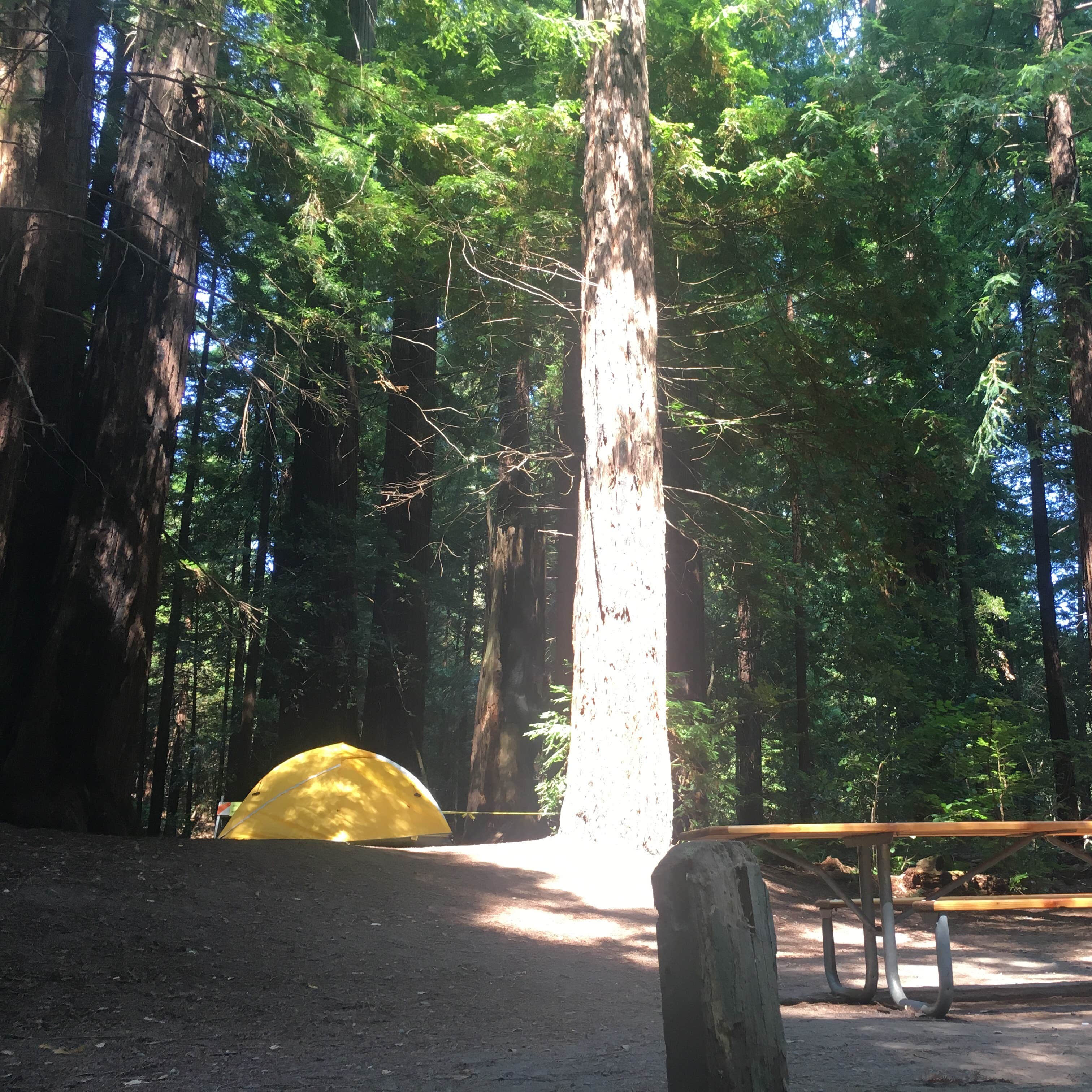 Van Duzen County Park Pamplin Grove Camping The Dyrt