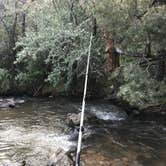 Review photo of Desert Creek Campground by Rosie R., August 15, 2018