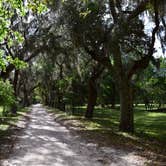 Review photo of Stafford Beach Campground — Cumberland Island National Seashore by Ashley A., August 15, 2018