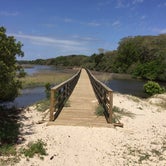Review photo of Stafford Beach Campground — Cumberland Island National Seashore by Ashley A., August 15, 2018