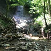 Review photo of Shades State Park Campground by Sarah S., August 15, 2018