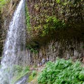 Review photo of Silver Falls State Park Campground by Jill T., July 11, 2018