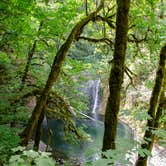 Review photo of Silver Falls State Park Campground by Jill T., July 11, 2018