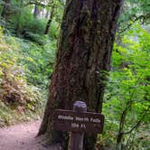 Review photo of Silver Falls State Park Campground by Jill T., July 11, 2018