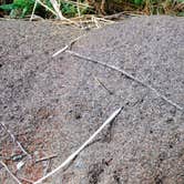 Review photo of Silver Falls State Park Campground by Jill T., July 11, 2018