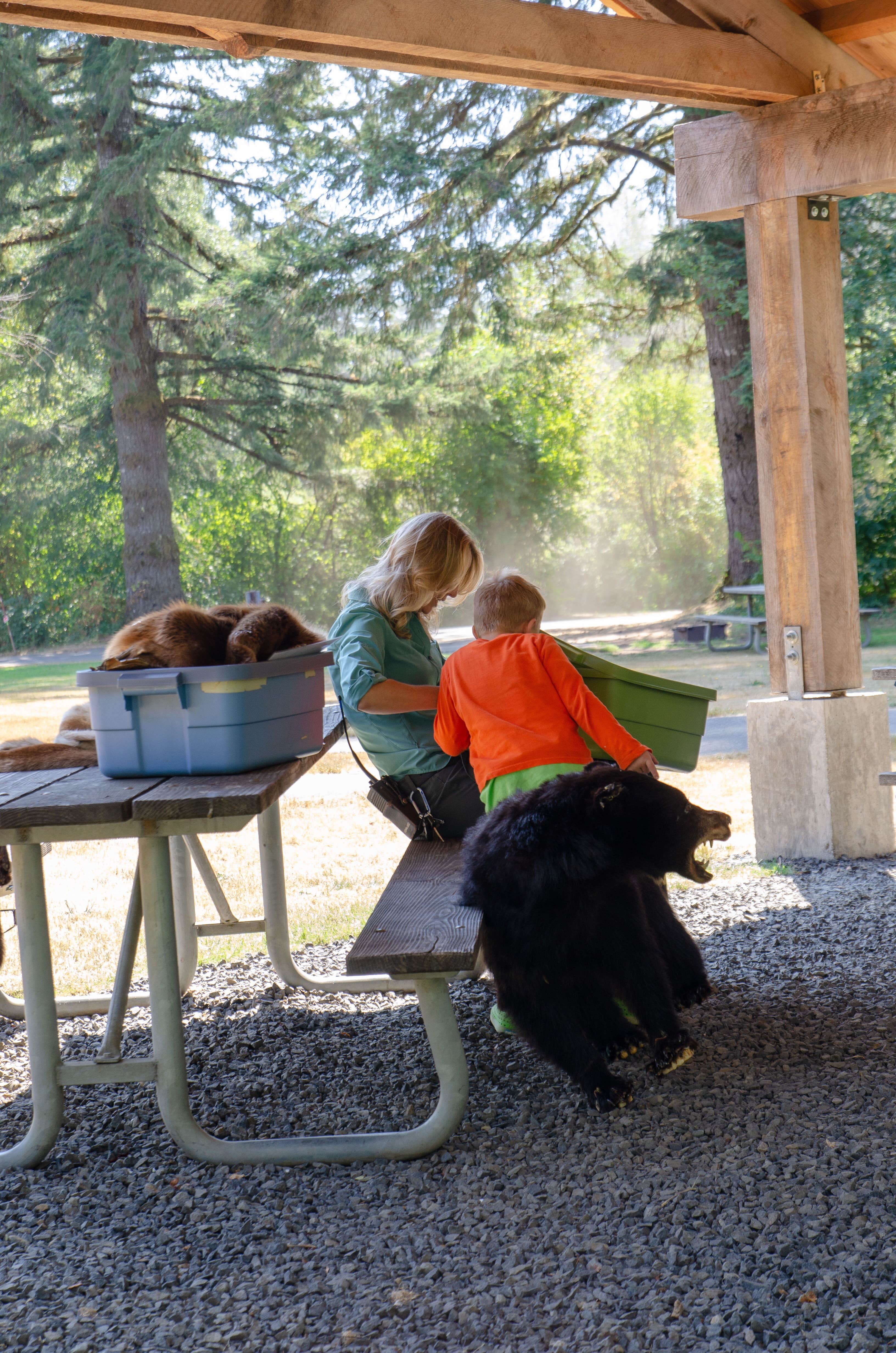 Jill T.'s photo of camping with pets at Silver Falls State Park Campground near Monmouth, OR