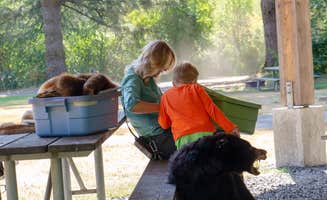 Jill T.'s photo of camping with pets at Silver Falls State Park Campground near Corvallis, OR