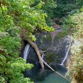 Review photo of Silver Falls State Park Campground by Jill T., July 11, 2018