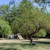 Review photo of Silver Falls State Park Campground by Jill T., July 11, 2018